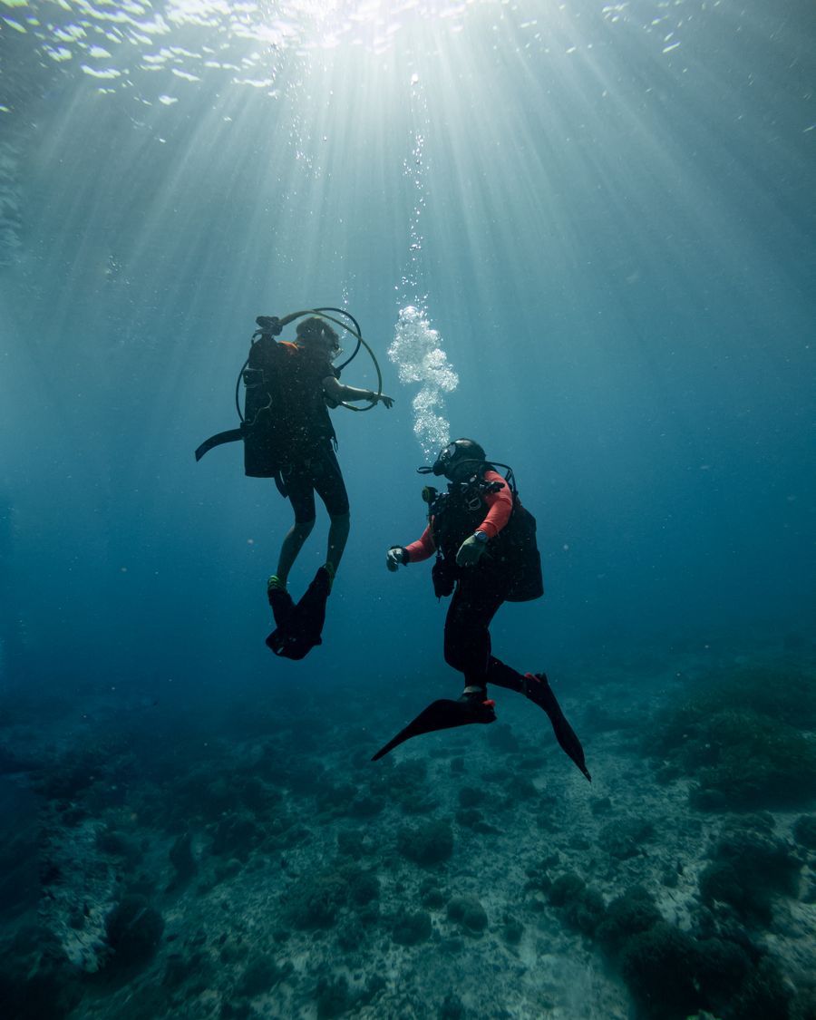 Two divers ascending through sunlit water