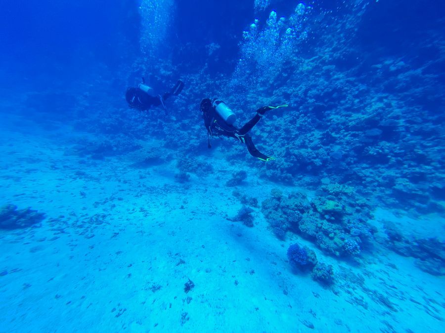 A diver over a shallow reef
